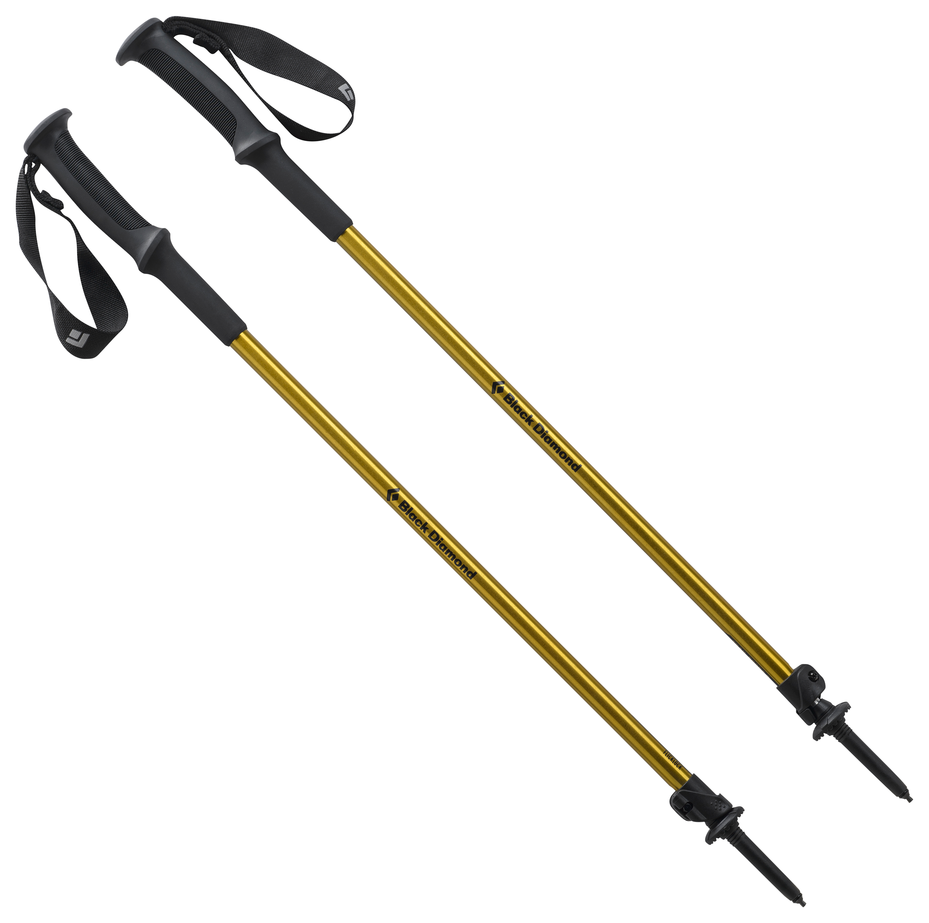 Black Diamond Trail Sport 2 Trekking Poles | Bass Pro Shops